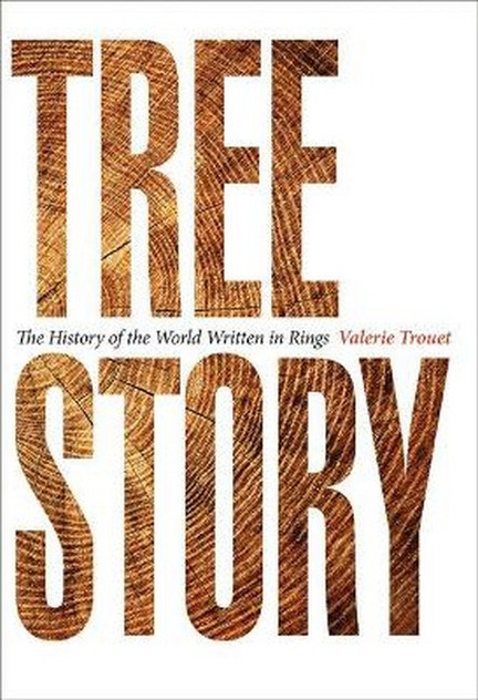 Tree Story Tree Story