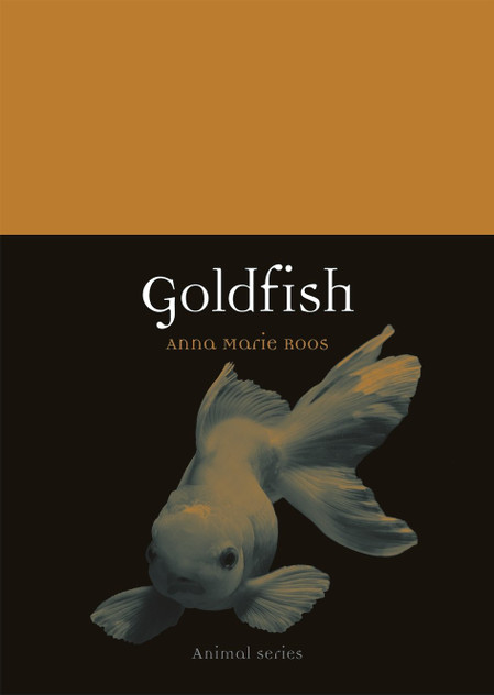 Goldfish Goldfish