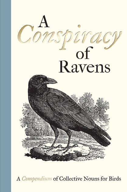 A Conspiracy of Ravens A Conspiracy of Ravens