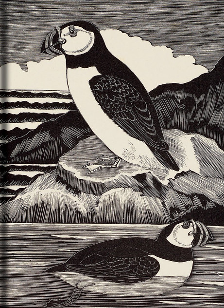 Birds Journal Birds Journal