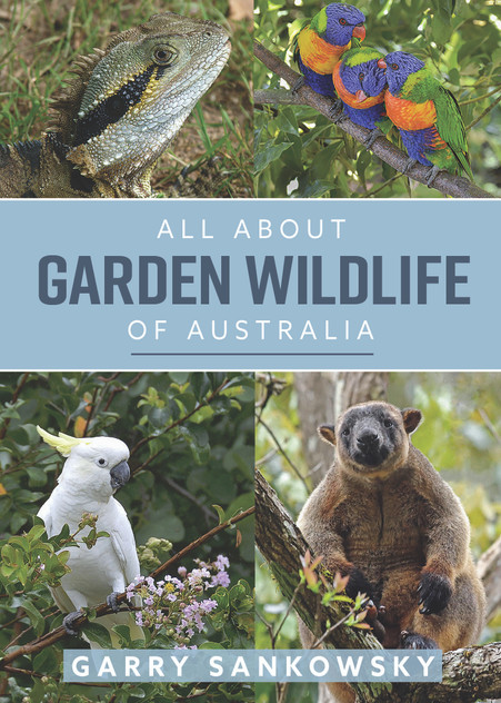 All About Garden Wildlife of Australia All About Garden Wildlife of Australia