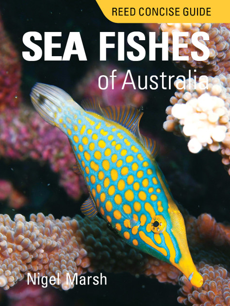 Reed Concise Guide Sea Fishes of Australia Reed Concise Guide Sea Fishes of Australia