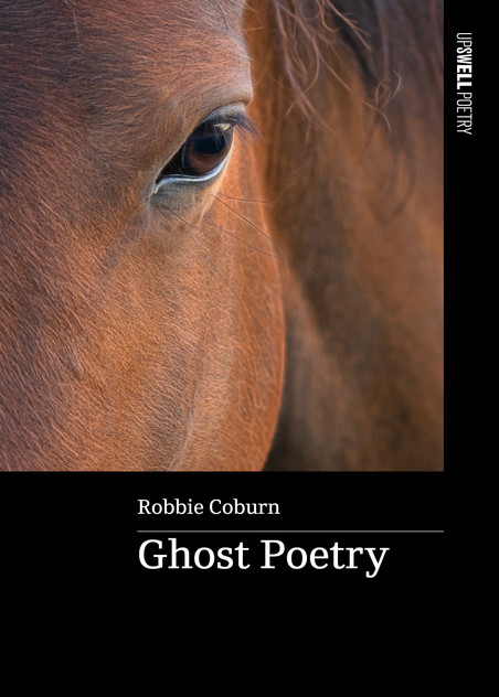 Ghost Poetry Ghost Poetry