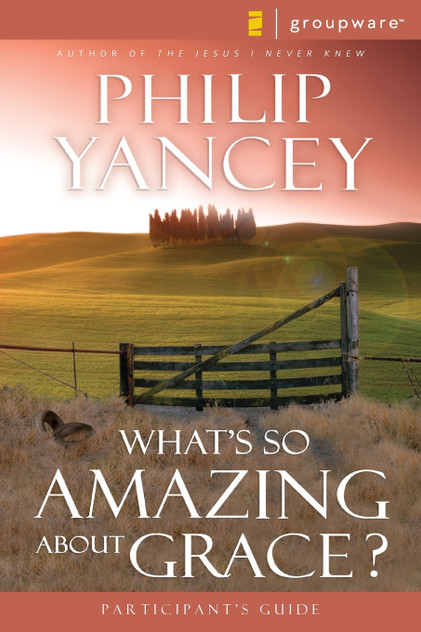 What's So Amazing About Grace? What's So Amazing About Grace?