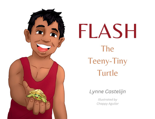 Flash, The Teeny Tiny Turtle Flash, The Teeny Tiny Turtle