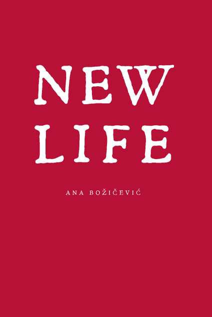 New Life New Life
