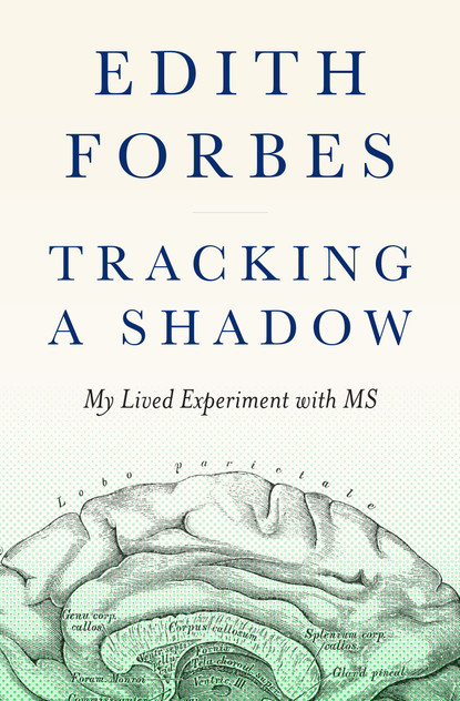Tracking a Shadow Tracking a Shadow
