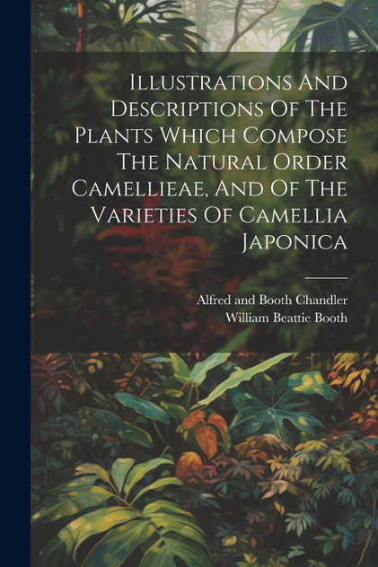 Illustrations And Descriptions Of The Plants Which Compose The Natural Order Camellieae, And Of The Varieties Of Camellia Japonica Illustrations And Descriptions Of The Plants Which Compose The Natural Order Camellieae, And Of The Varieties Of Camellia Japonica