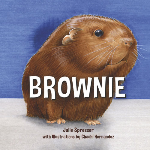 Brownie Brownie