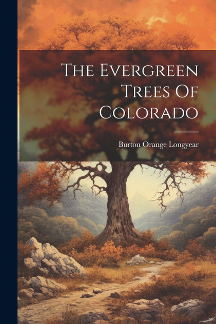 The Evergreen Trees Of Colorado The Evergreen Trees Of Colorado