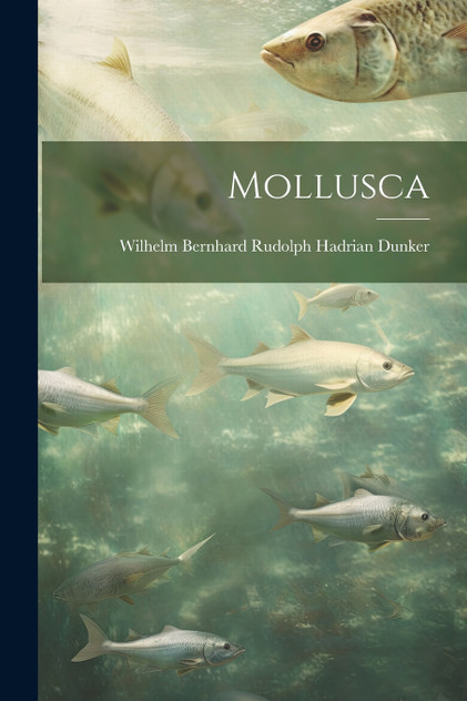 Mollusca Mollusca