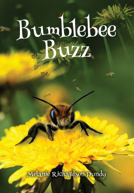 BumbleBeeBuzz BumbleBeeBuzz