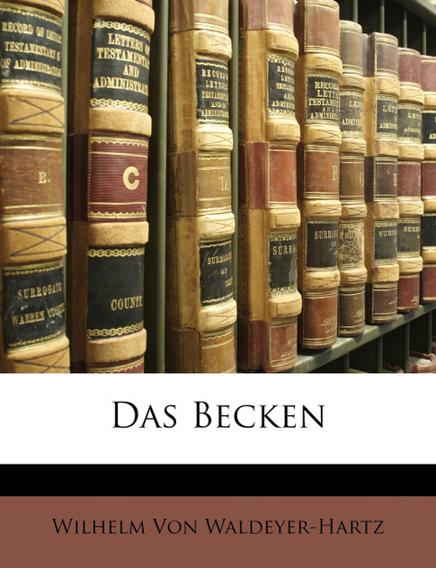 Das Becken