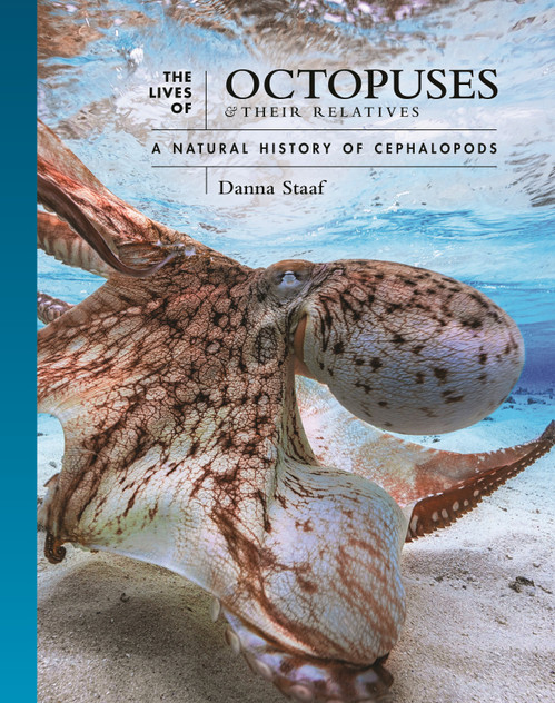 The Lives of Octopuses and Their Relatives The Lives of Octopuses and Their Relatives
