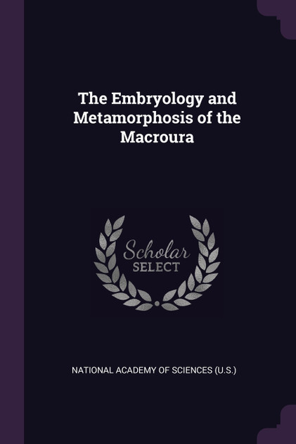 The Embryology and Metamorphosis of the Macroura The Embryology and Metamorphosis of the Macroura