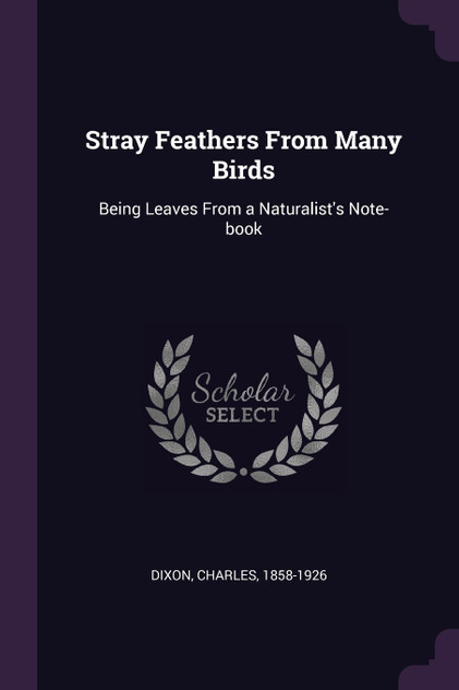 Stray Feathers From Many Birds Stray Feathers From Many Birds