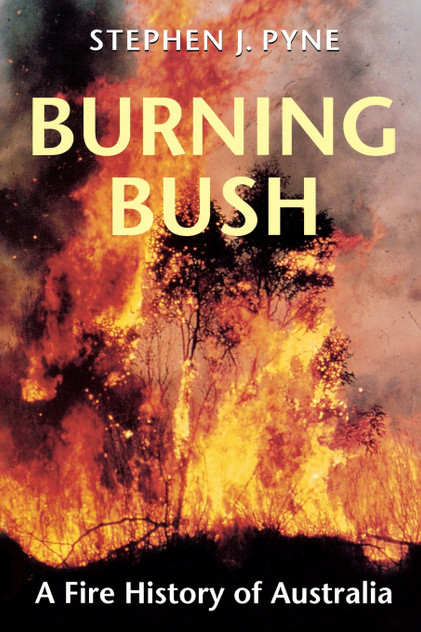 Burning Bush Burning Bush
