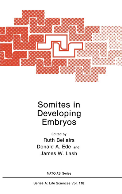 Somites in Developing Embryos Somites in Developing Embryos