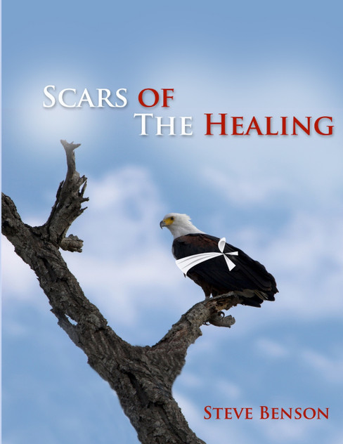 Scars of the Healing Scars of the Healing