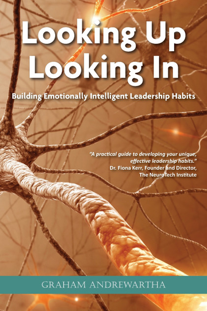 Looking Up, Looking In