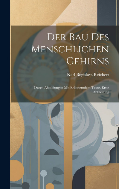 Der Bau Des Menschlichen Gehirns Der Bau Des Menschlichen Gehirns