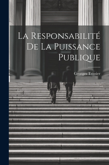 La Responsabilité De La Puissance Publique La Responsabilité De La Puissance Publique
