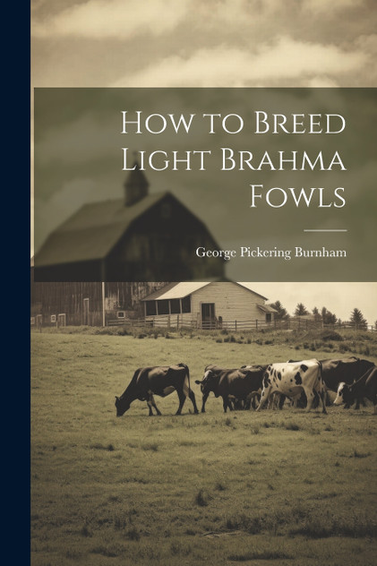 How to Breed Light Brahma Fowls How to Breed Light Brahma Fowls