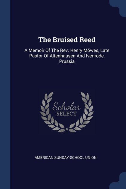 The Bruised Reed The Bruised Reed