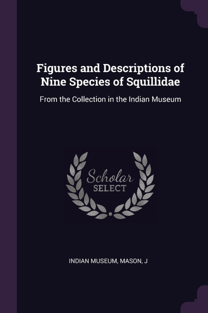 Figures and Descriptions of Nine Species of Squillidae