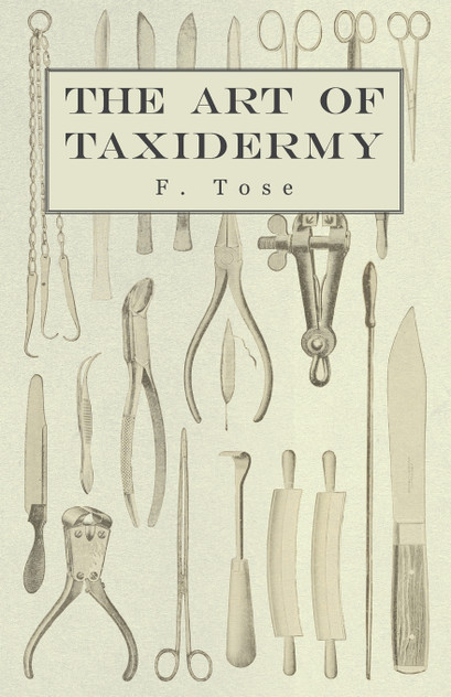 The Art of Taxidermy The Art of Taxidermy