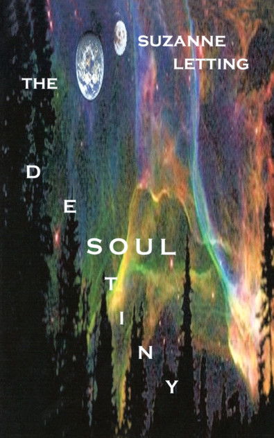 The Destiny Soul The Destiny Soul