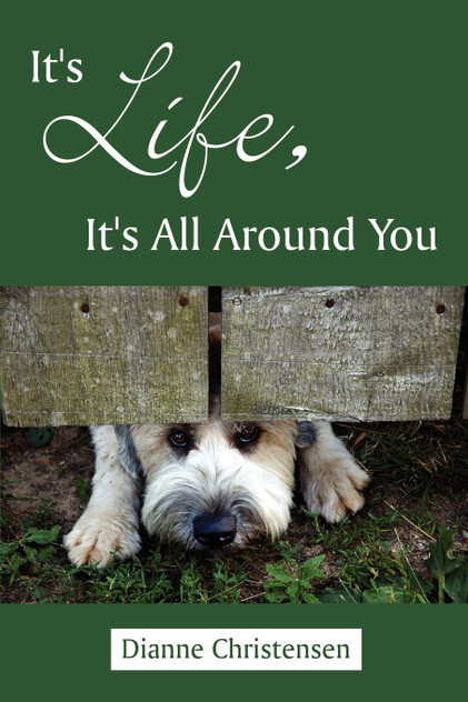 It's Life, It's All Around You It's Life, It's All Around You