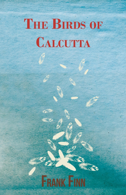 The Birds of Calcutta The Birds of Calcutta