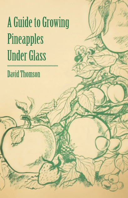 A Guide to Growing Pineapples under Glass A Guide to Growing Pineapples under Glass