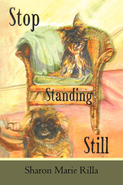 Stop Standing Still Stop Standing Still