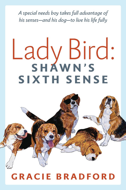Lady Bird Lady Bird