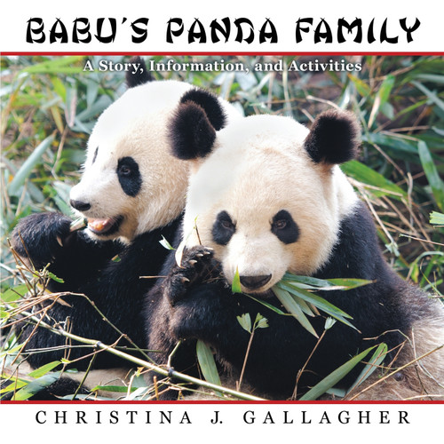Babu's Panda Family Babu's Panda Family