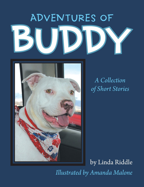 Adventures of Buddy Adventures of Buddy