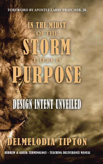 In the Midst of the Storm There Is Purpose In the Midst of the Storm There Is Purpose