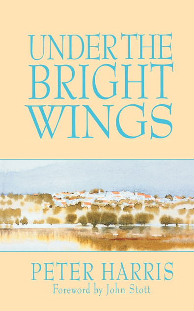 Under the Bright Wings Under the Bright Wings