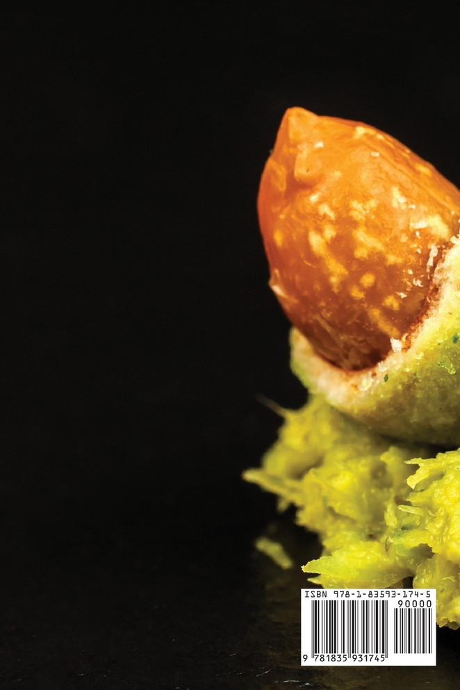 VRHUNSKO WASABI ISKUSTVO