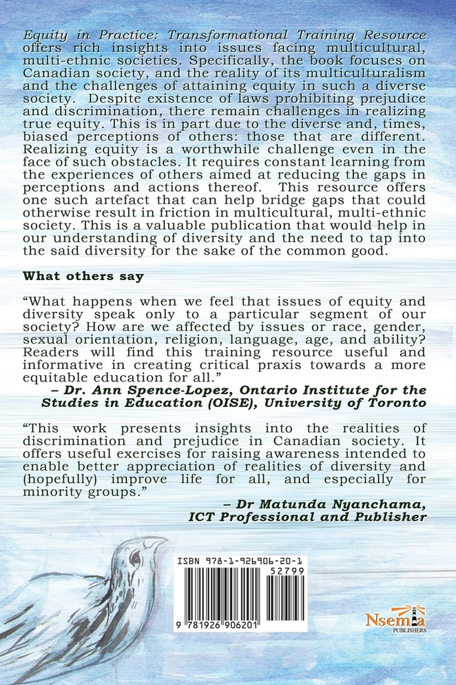 Equity in Practice