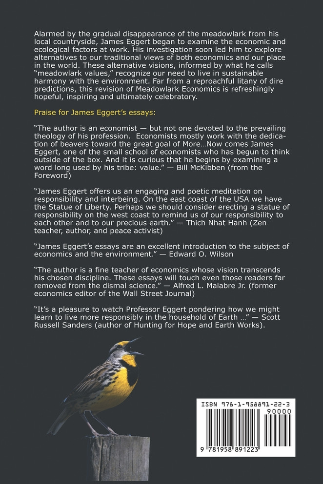 Meadowlark Economics