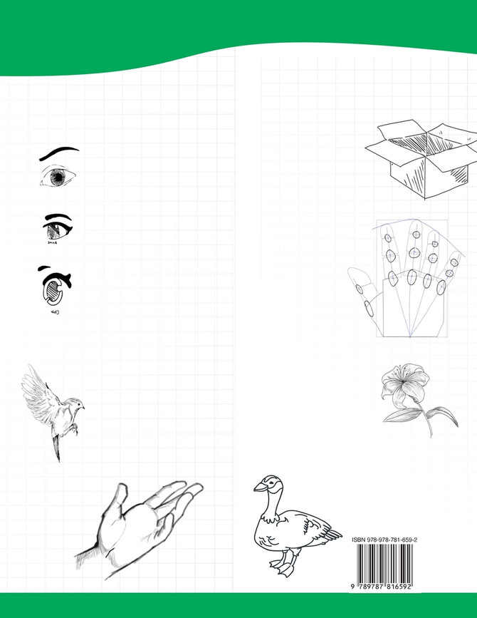 5 Weeks Learning to Draw