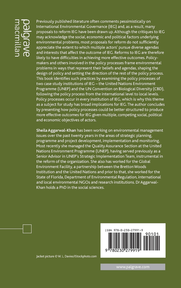 The Policy Process in International Environmental Governance