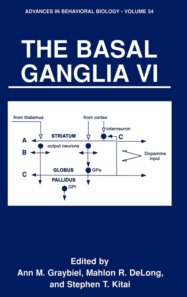 The Basal Ganglia VI