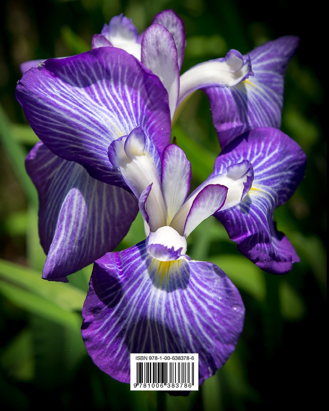 Botanicals of the World