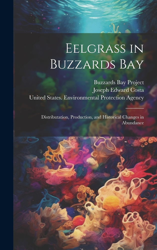 Eelgrass in Buzzards Bay