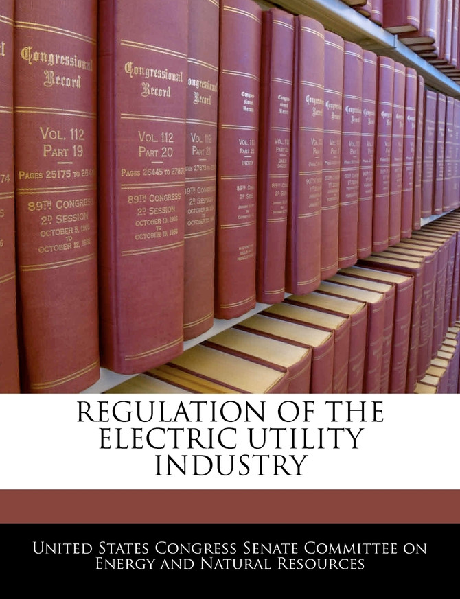 Regulation Of The Electric Utility Industry