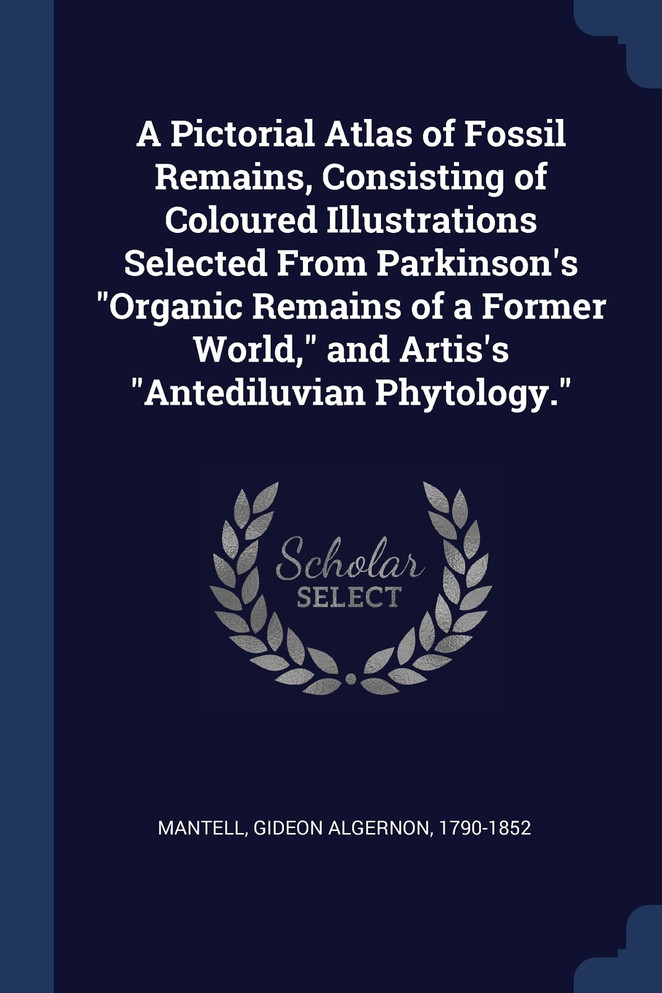 A Pictorial Atlas of Fossil Remains, Consisting of Coloured Illustrations Selected From Parkinson's "Organic Remains of a Former World," and Artis's "Antediluvian Phytology."